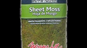 Natural Sheet Moss | Mosser Lee Decorative Moss Sheets