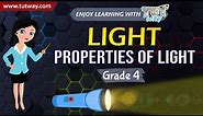 Properties of Light | Reflection | Science | Speed of light