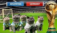 LETS UNLEASH CATS KITTENS WORLD CUP GAME 3!