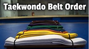 Taekwondo Belt Order: Complete Ranking System Guide