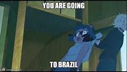 you are going to brazil