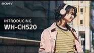 Introducing the Sony WH-CH520 On-ear Wireless Headphones