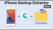 The Best iPhone Backup Extractor - Tenorshare iCareFone