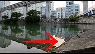 River Okinawa Japan /Naha is the capital city of Okinawa 4k