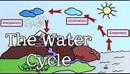 All About the Water Cycle for Kids: Introduction to the Water Cycle for Children - FreeSchool