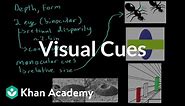 Visual cues | Processing the Environment | MCAT | Khan Academy