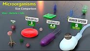 How Microorganisms looks under the microscope | Virus Size | Bacteria size | Antibodies size