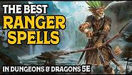 The Best Ranger Spells In D&D 5e