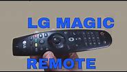 How To Repair LG Magic LED TV Remote (G 3900)