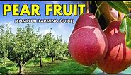The Secrets of PEARS FRUIT FARMING Revealed: The Complete Guide