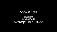 Sony A7 Family AF Test - Sony A7M II Low Light