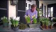 How to Make a Spring Flowering Bulb Gift Basket