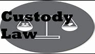 Child custody in Michigan. Everything you need to know.