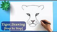How to Draw a Tiger step by step ॥ Easy Tiger Drawing for Beginner