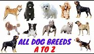 ALL LARGE AND SMALL DOG BREEDS IN THE WORLD (A TO Z LIST)