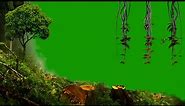 Jungle Green Screen / Nature Green Screen / Green Screen Effects / Background Video Effects hd