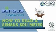 How to Read a Sensus SRII Register
