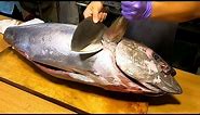 How to Fillet Big Yellowfin Tuna for Sasimi & Sushi