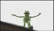 Kermit Falling Off A Building