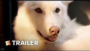 The Wolf and the Lion Trailer #1 (2022) | Fandango Family