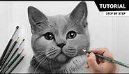 How to Draw Realistic Cat for BEGINNERS | Fur Drawing Technique