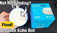 Echo Dot: Not Responding, Frozen or Not Working? FIXED!