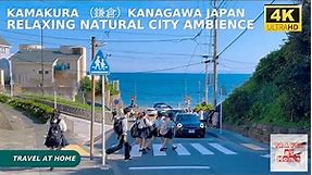 4k hdr japan travel | Walk in Kamakura （鎌倉）Kanagawa Japan | Relaxing Natural City ambience