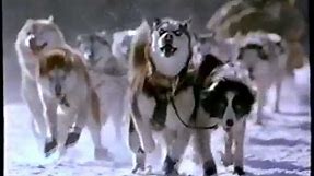 Snow Dogs (2002) Trailer (VHS Capture)
