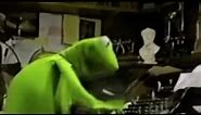 Kermit The Frog Typing Fast