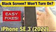 iPhone SE 3 (2022): How to Fix Black Screen or Won't Turn On (Easy Fixes!)