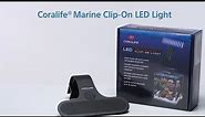Coralife Marine Clip-On Light