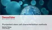 Pluripotent stem cell characterization methods
