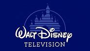 1986-2004 Walt Disney Television logo remake by Aldrine Joseph 25