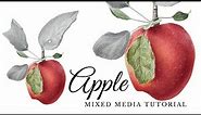 How to Paint a Realistic Apple 🍎 // Painting Tutorial