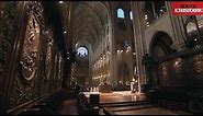 Secret visit of Notre-Dame roof and frame (English) - Toute L'Histoire