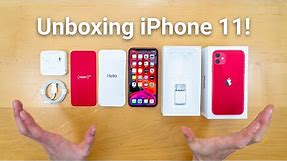 iPhone 11 Unboxing - What's Included!