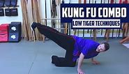 Kung Fu Combo - Tiger Style Ground Techniques
