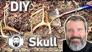 🔵 Clean Deer Skull | How to European Skull Mount Deer | Make Nice Skull Mount l Teach a Man to Fish