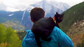 Purrrfect match: Adventurer, backpacking kitty take on wilderness