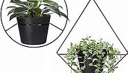 Mkono Boho Hanging Planter, Set of 2 Metal Plant Hanger with Plastic Pots, Modern Mid Century Flower Pot Plant Holder in Diamond and Circle Shape, Fits 6 Inch Planter (Pots Included), Black