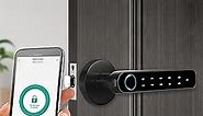 Fingerprint Door Lock, Smart Biometric Door Lock with Bluetooth APP, Keyless Entry Door Lock with Handle, Electronic Touchscreen Keypad Door Lock for Bedroom Home Hotel Office Apartment