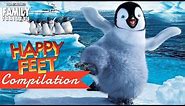 HAPPY FEET | All The Best Clips and Trailer Compilation - Animated Family Movie