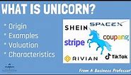 What is Unicorn? | From A Business Professor