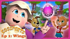 The Eggsperts - Wings | Phonics Videos for Children | Best Kids Educational Animation | Reading Eggs