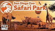 San Diego Zoo Safari Park - Top 10 Tips, Park Tour & Animal Guide