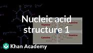 Nucleic acid structure 1 | Chemical processes | MCAT | Khan Academy