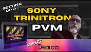 Setting Up A Sony Trinitron PVM For Retro Gaming.