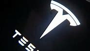 LED Car Door Logo Lights Projector for Tesla