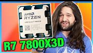 AMD Ryzen 7 7800X3D CPU Review & Benchmarks