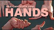 Anatomy Quick Tips: Hands